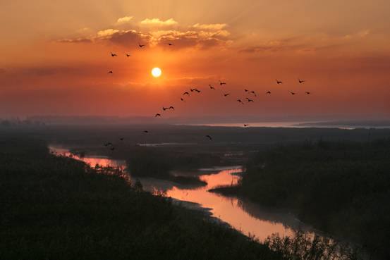 2崇明西沙濕地（第8頁）
